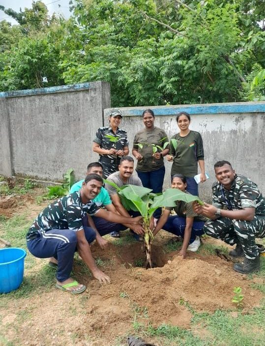 Tree Plantation